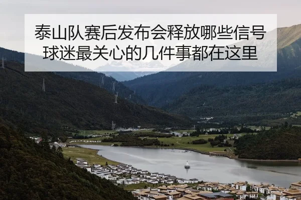 泰山队赛后发布会释放哪些信号 球迷最关心的几件事都在这里 | maiqiuzhan